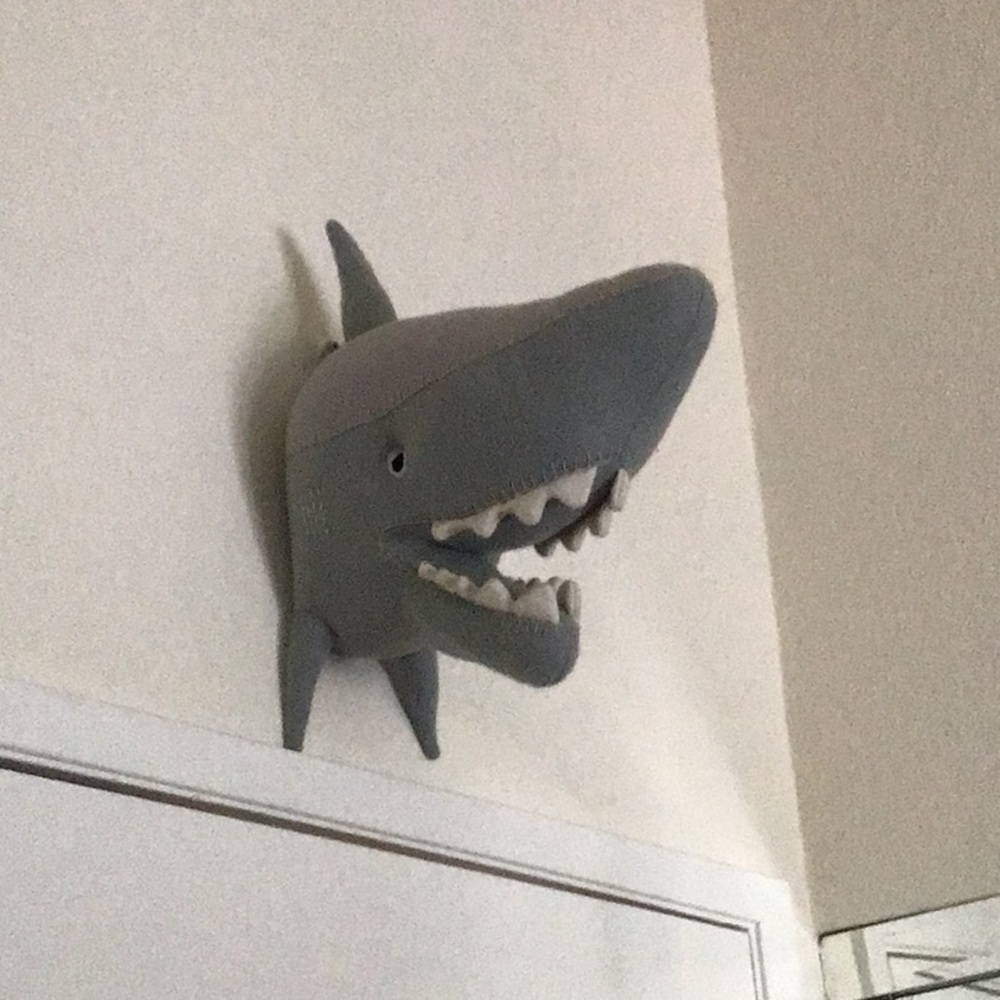 Shark head kids room
